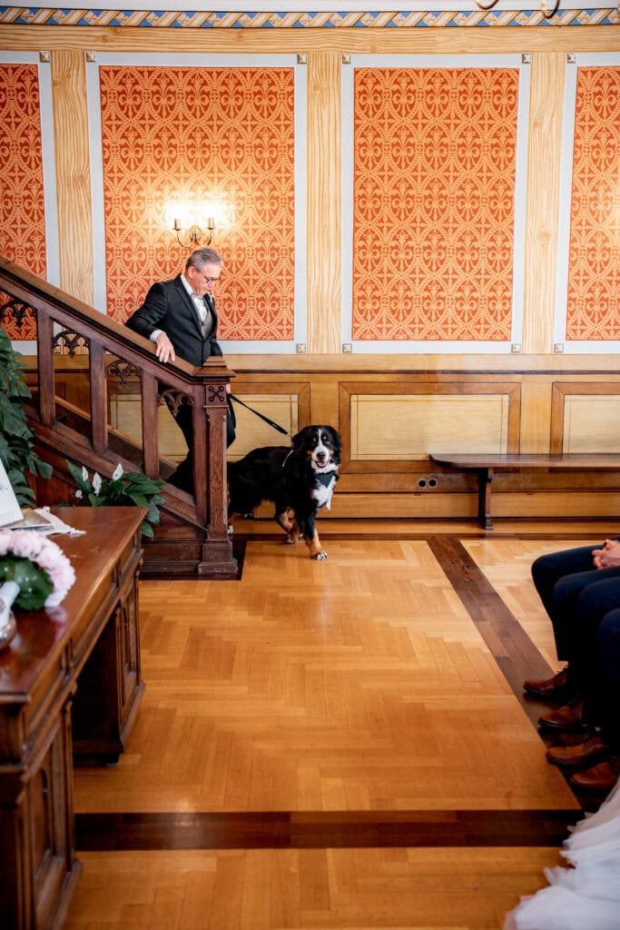 Brautvater mit Hund bringt die Ringe, Hochzeit im stilvollen Saal, elegante Dekoration, Holzparkett.